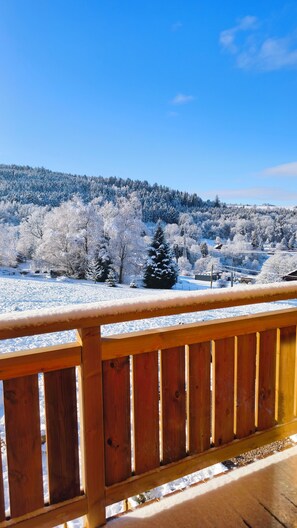 Property grounds - 7pers chalet with petanque court, sauna, table soccer (Anould)