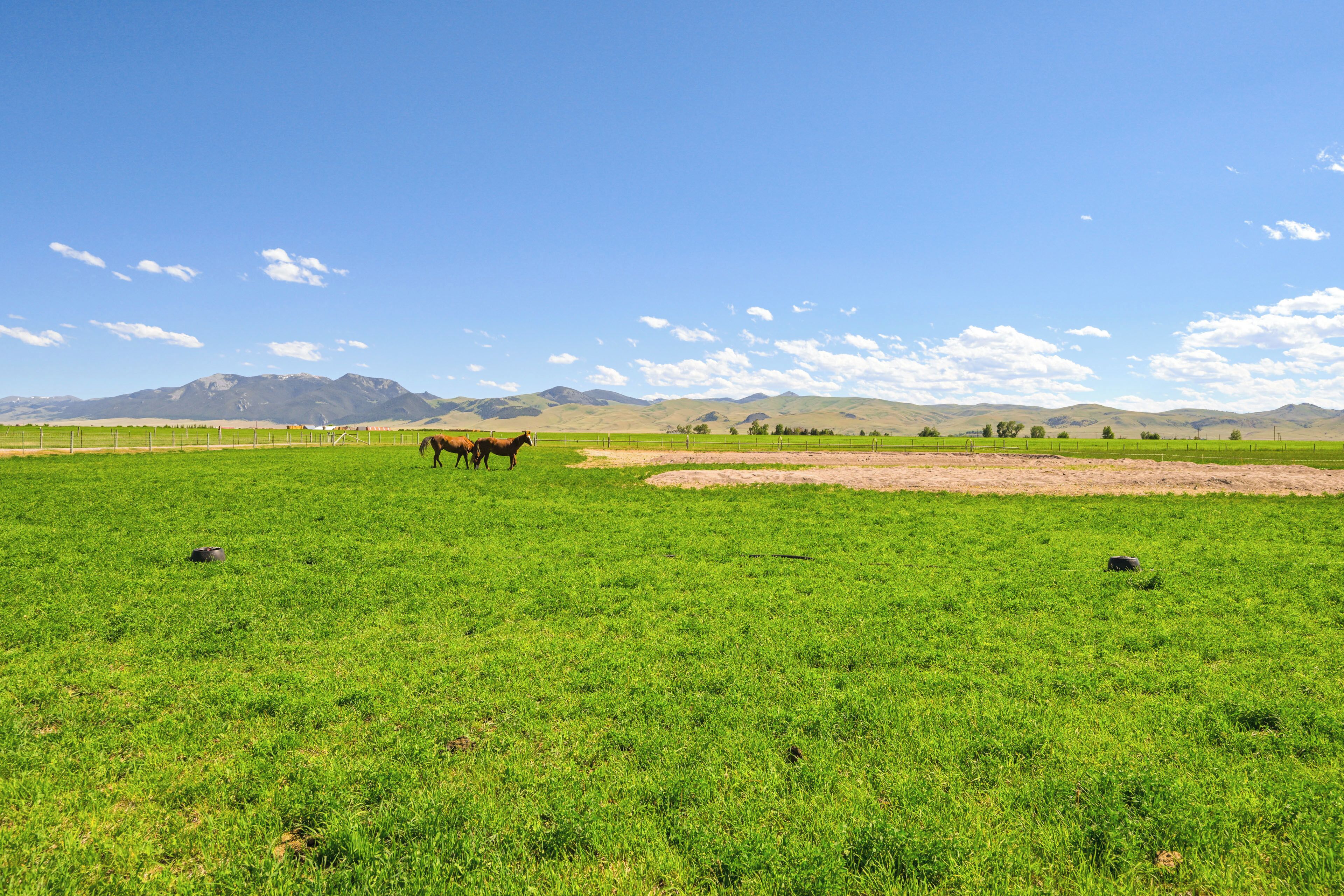 A wide, open field with a few horses grazing, surrounded by mountains under a clear sky.
