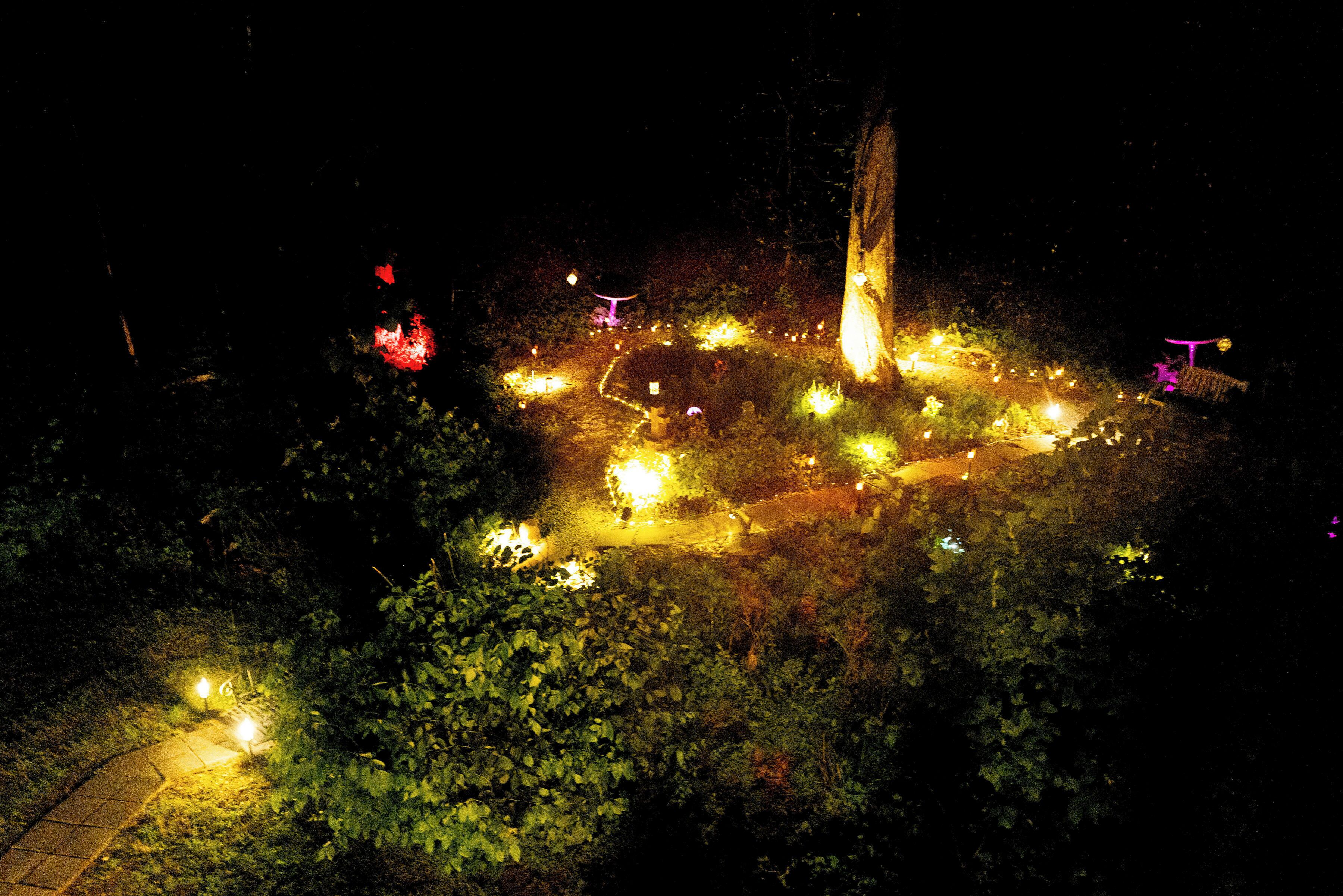 A nighttime outdoor area with illuminated pathways and structures, surrounded by foliage.