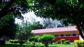 A building with a red roof and yellow walls, surrounded by green grass and trees. - Miriu River Resort (Apoko)