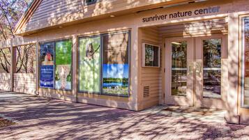 تفاصيل الفندق من الخارج