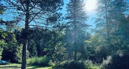 15-person manor house in a green setting, ideal for your events