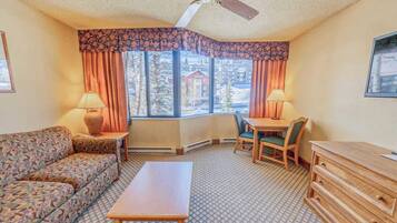 TV, fireplace, offices