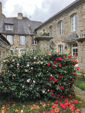 Detalle exterior