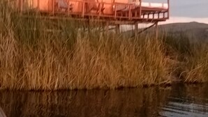 A single-story house with a large porch, surrounded by tall grass and a body of water. - Titicaca Kontiki lodge, culture, landscapes and nature for families and couples, (Puno)