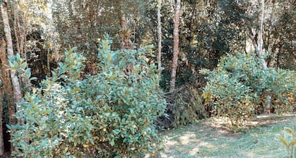 Recanto Lago Negro - Rancho Queimado