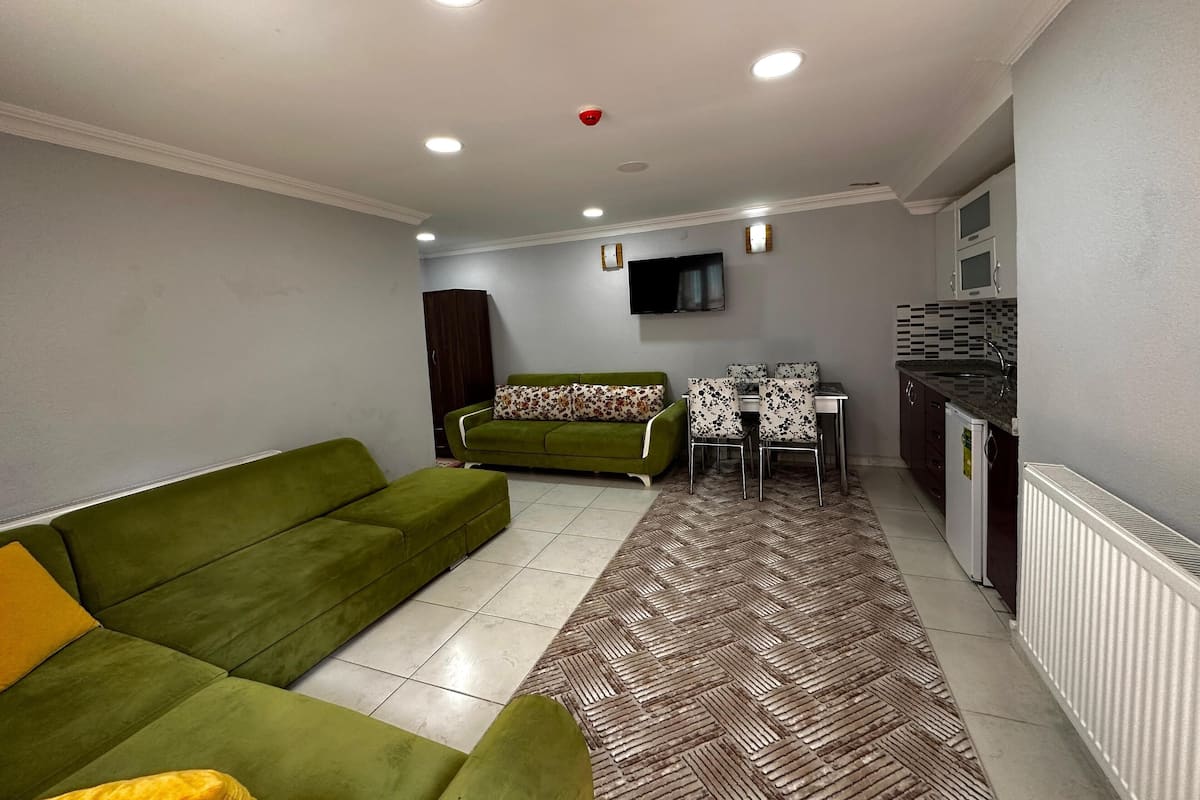 Economy Apartment | Living area