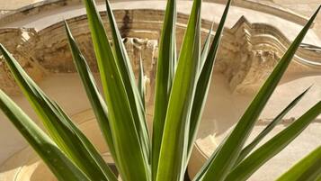 Detalle exterior