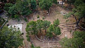 Vue aérienne d’un jardin aménagé, avec des allées, des arbres et une zone centrale où se trouve un panneau.