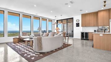 TV, fireplace, DVD player, books