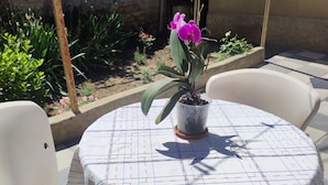 Une table ronde recouverte d’une nappe à carreaux, entourée de chaises en plastique blanc, dans un cadre extérieur, avec une plante en pot posée sur la table.