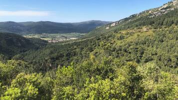 Paesaggio montuoso con fitta foresta e una valle sullo sfondo.