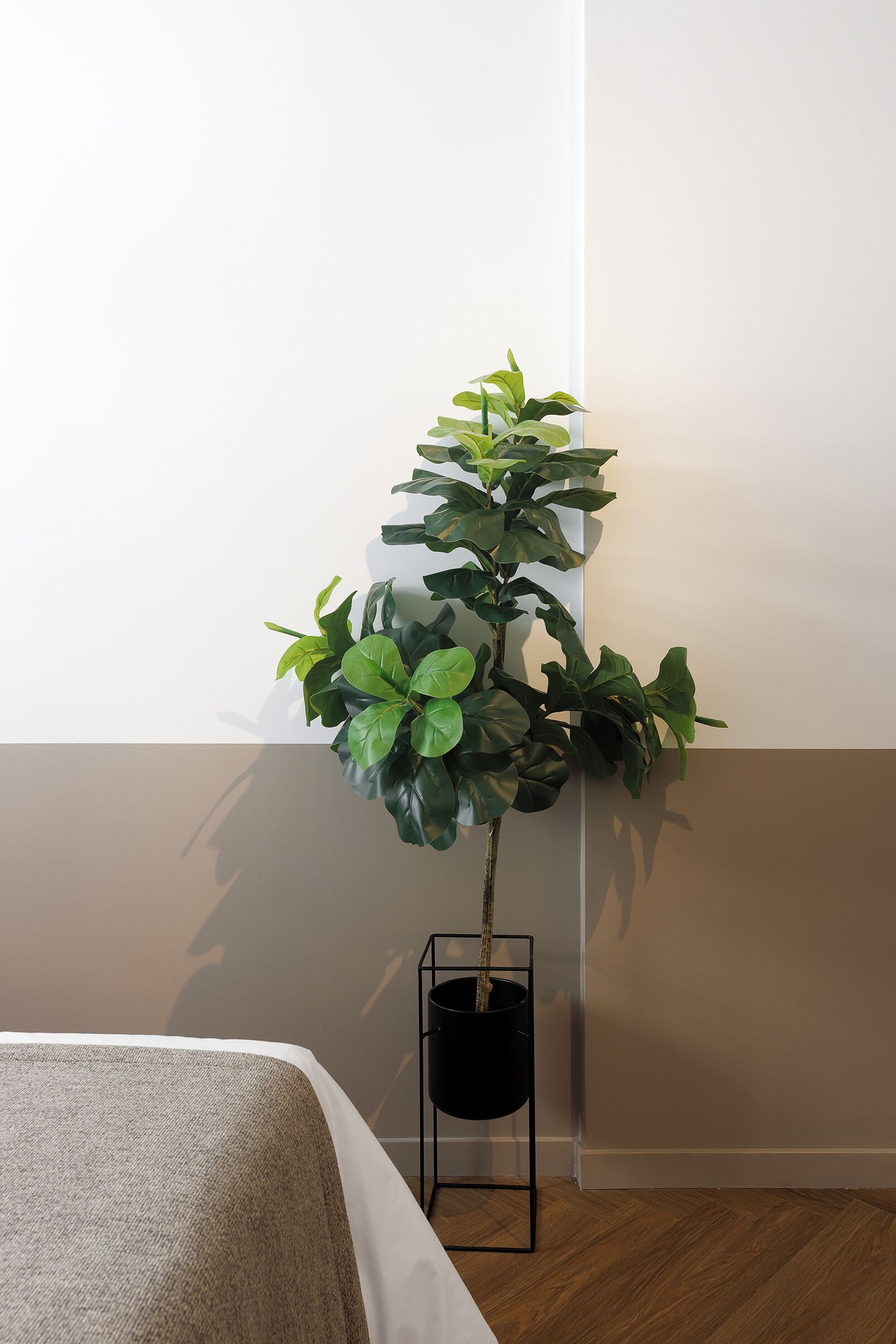 Una habitación con una cama, una planta en maceta y una pared con interruptor de luz.