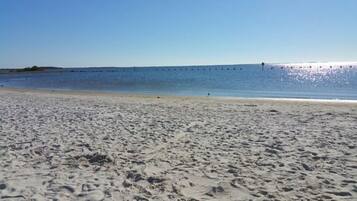 Camastros y toallas de playa