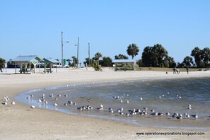 Sun-loungers, beach towels - Charming Nature Coast Bungalow in Crystal River (Crystal River)