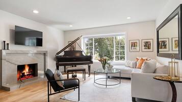 Smart TV, fireplace, books