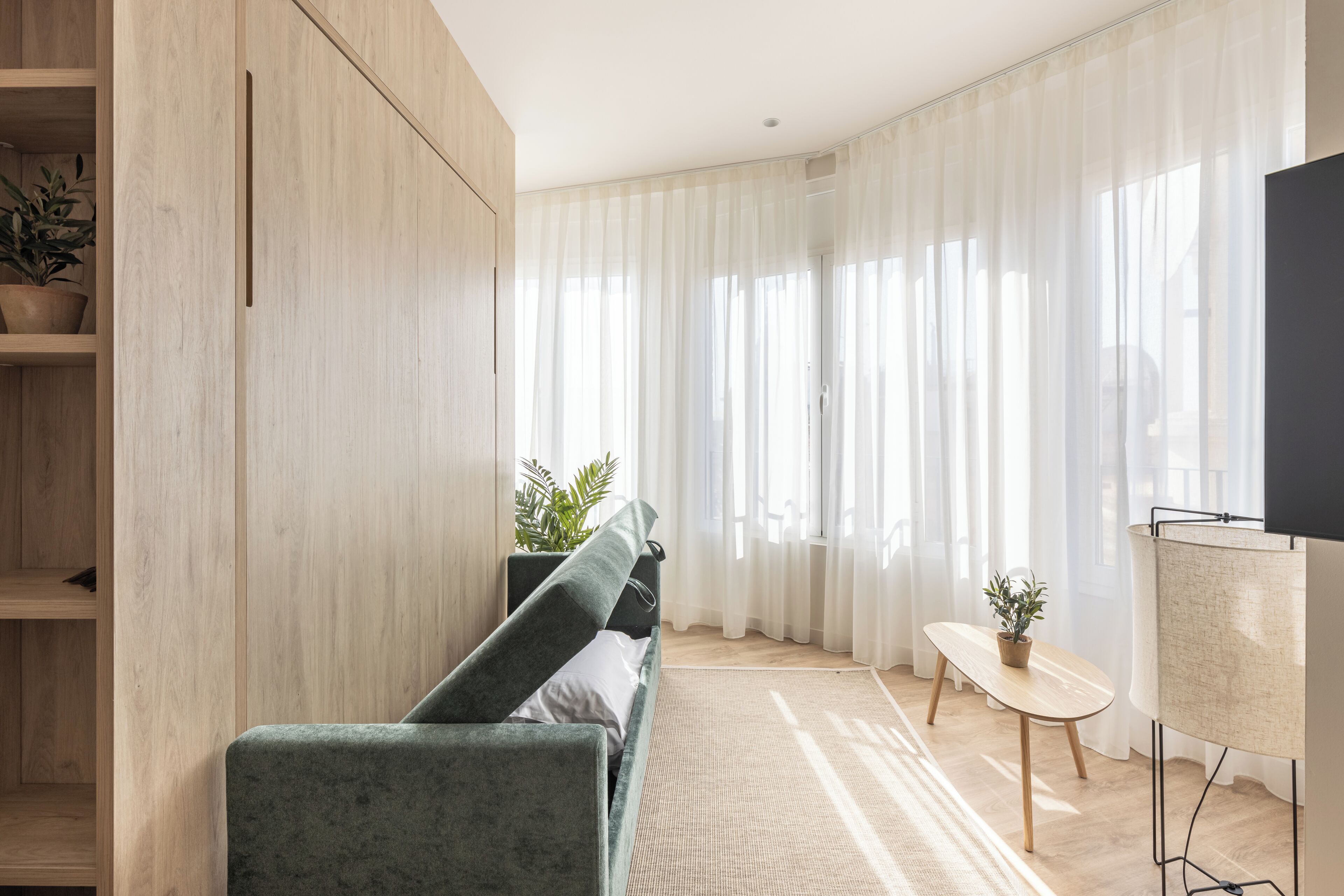 Een moderne woonkamer met een groene bank, houten kasten, een tafeltje met een plant en een televisie op een meubel.