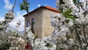 A stone building with a red roof, surrounded by blooming white flowers. - Solar dos Condes da Azenha (Sernancelhe)