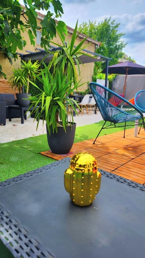 A patio area with a potted plant, a cactus, and outdoor furniture.