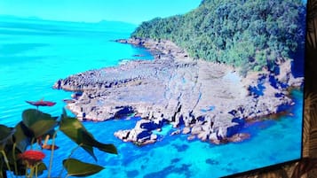 Comfort Villa, Non Smoking, Private Pool | Living area | TV