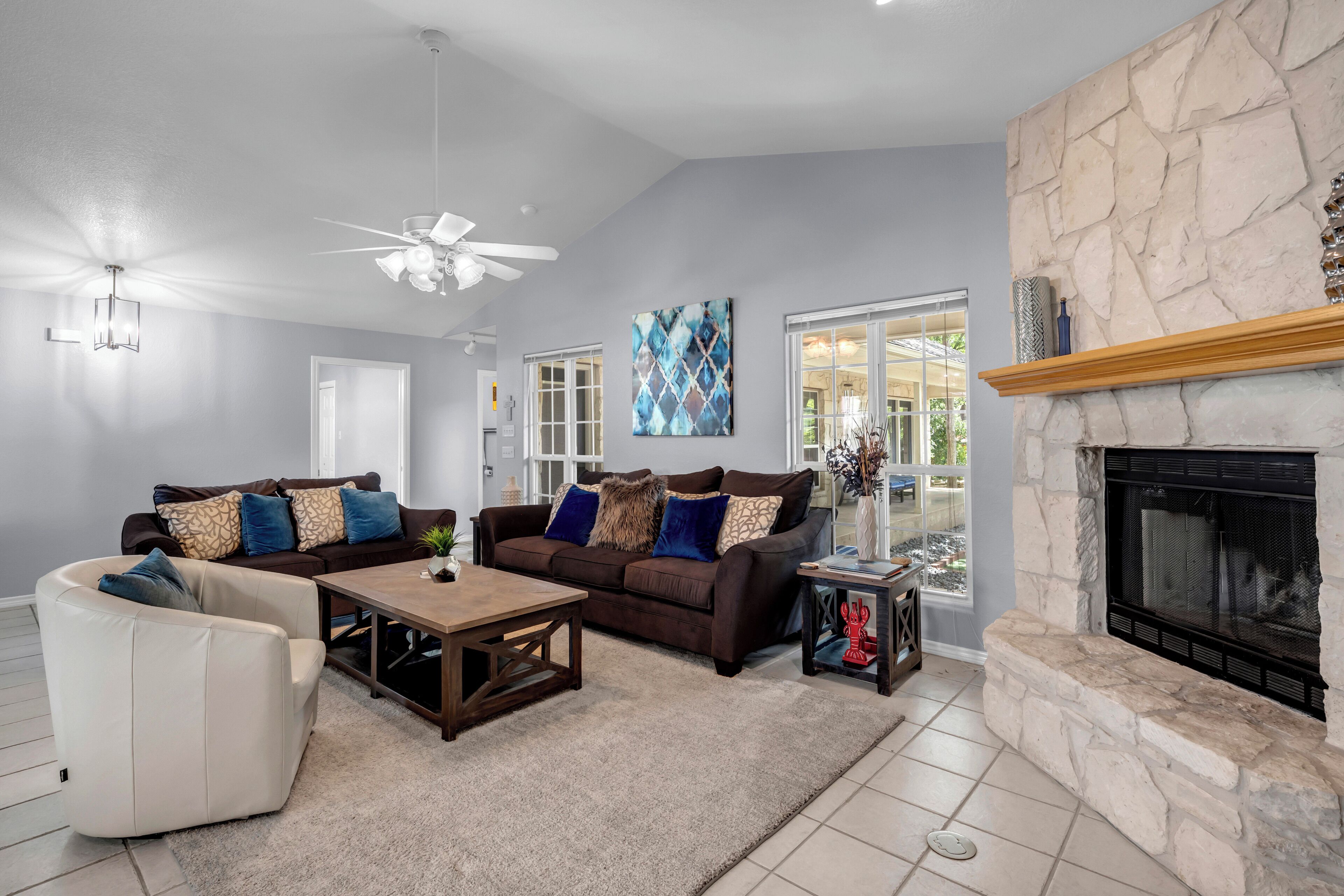 Smart-tv, pejs, videospil, bøger