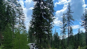 Una strada sterrata che si inoltra in una foresta, con un segnale per un percorso ciclabile.