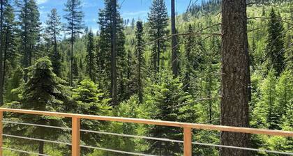The TREE HAUS: A Montana Tiny Cabin Forest Retreat