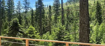 The TREE HAUS: A Montana Tiny Cabin Forest Retreat
