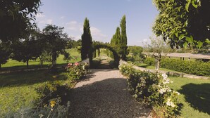 A garden pathway with gravel, surrounded by various plants and trees. - Family Apartment  in the heart of Tuscany with swimming pool (Da Vinci) (cortona)