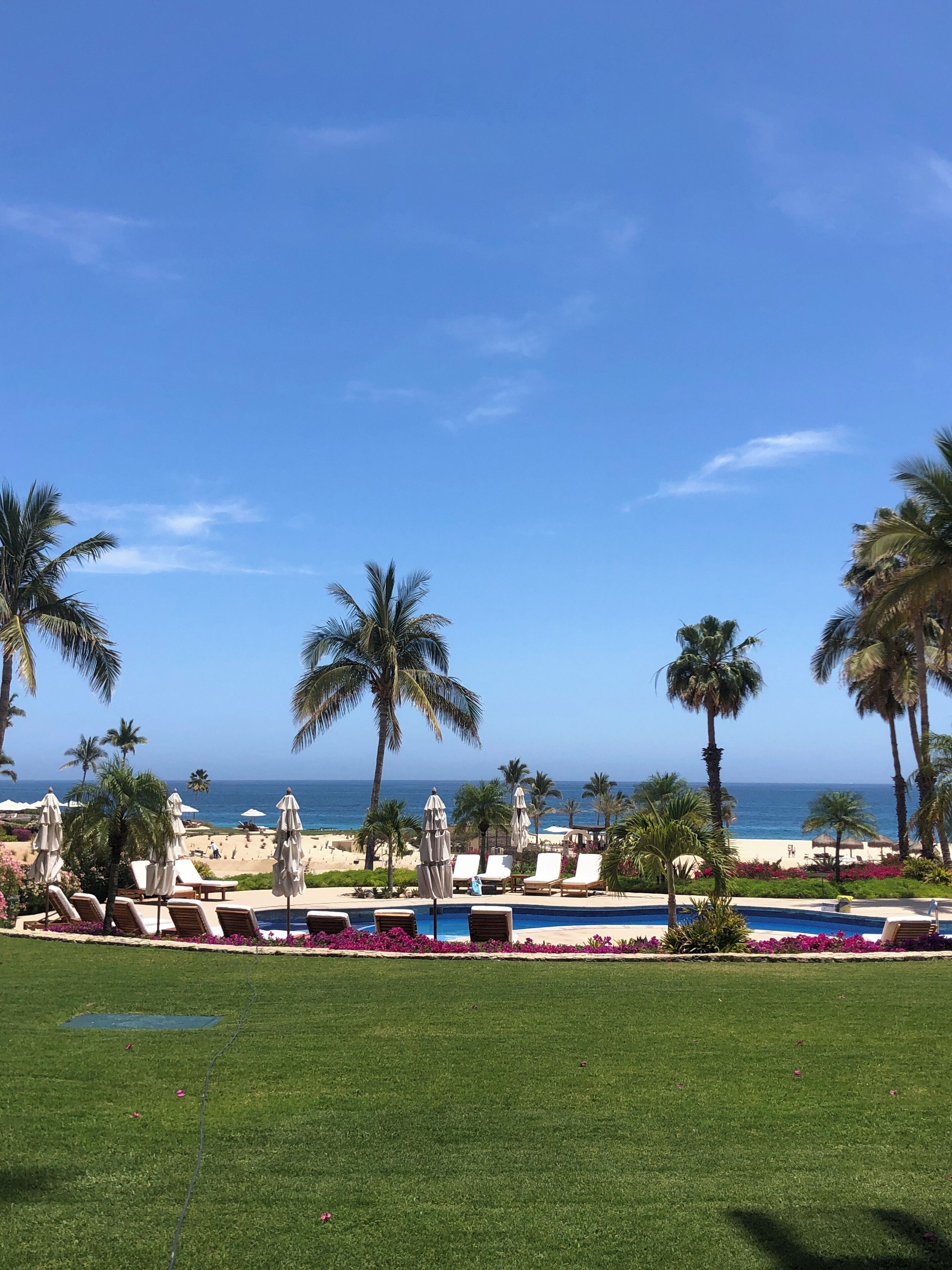 Ett poolområde med solstolar och parasoller, palmer och utsikt över stranden och havet.