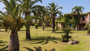 Property grounds - Studio with swimming pool, near the sea (Pula Sardinien)