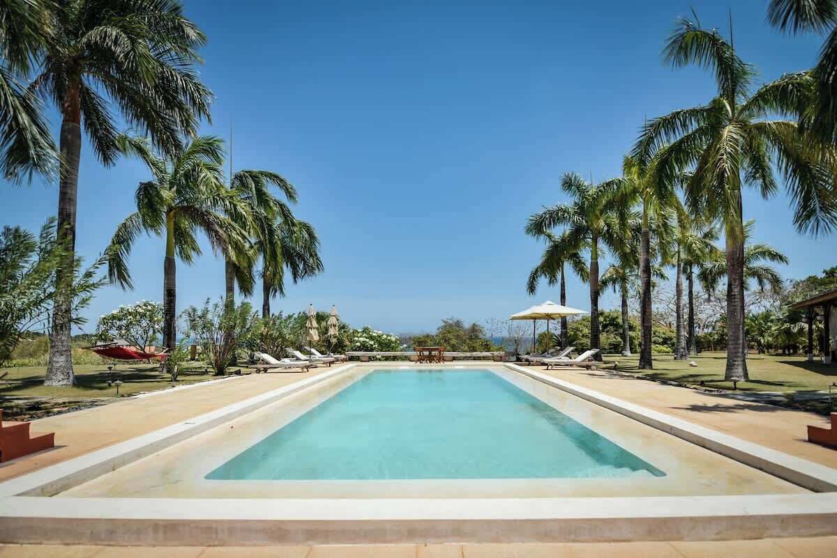 Une piscine rectangulaire dont le centre est d’un bleu limpide, entourée de palmiers et de chaises longues.