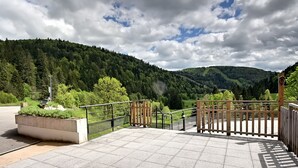 A paved outdoor area with a wooden fence, a metal railing, and a view of a forested hillside.