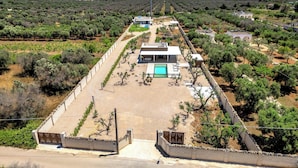 Una villa moderna con piscina, rodeada de olivares y un muro de piedra.