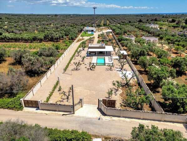 A modern villa with a swimming pool, surrounded by olive groves and a stone wall.