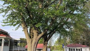 Enceinte de lâhĂ©bergement