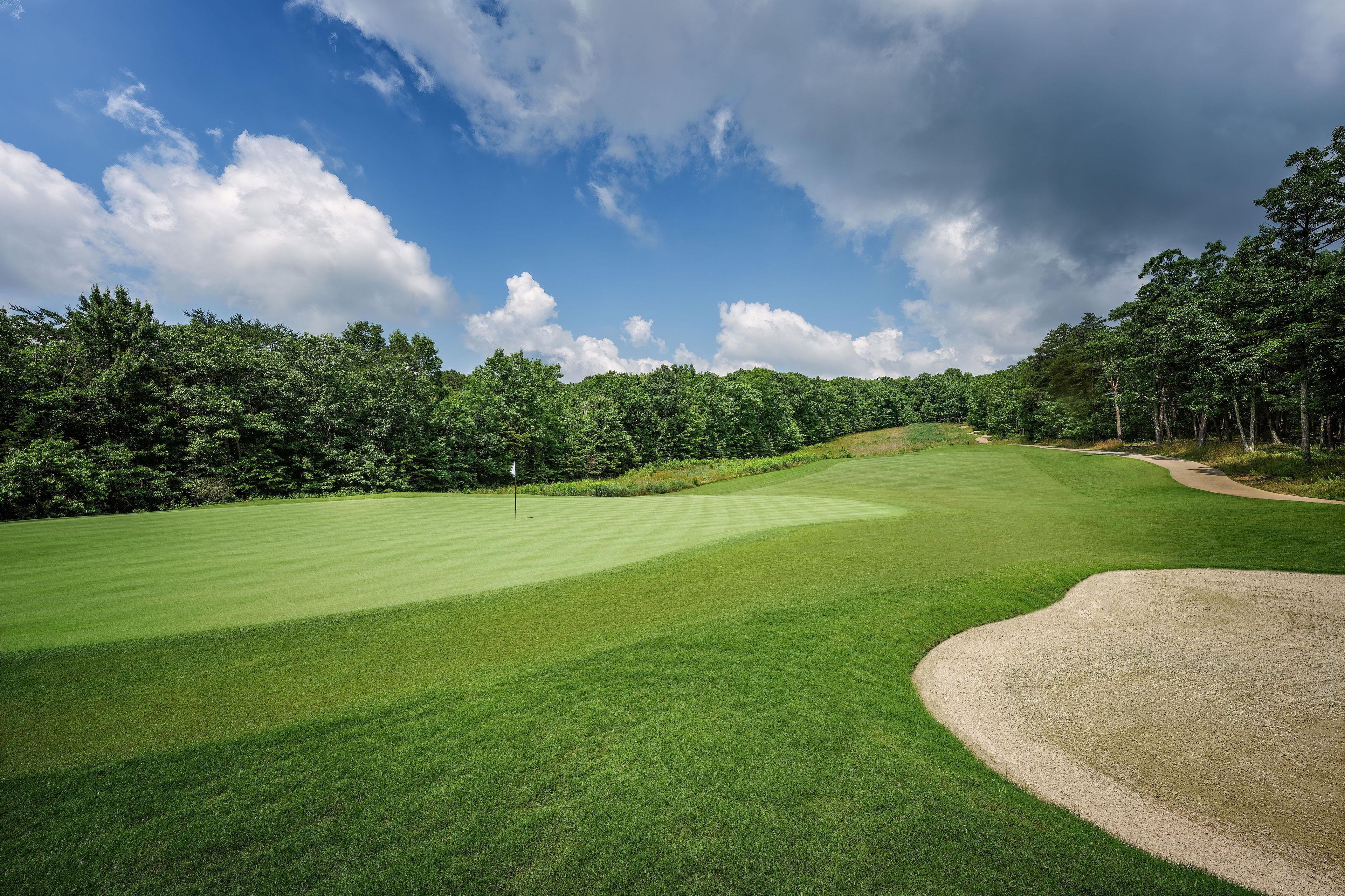 A golf course with a well-maintained green, sand bunkers, and dense trees in the background.