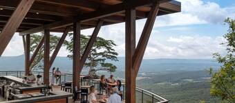 Cloudland Mclemore Resort Lookout Mountain Curio