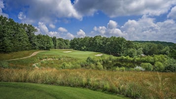 Un campo de golf con un estanque, rodeado de árboles frondosos y un cielo despejado.
