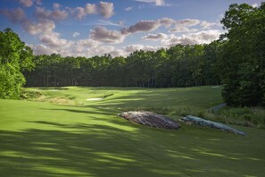 Un parcours de golf doté d’un gazon bien entretenu, de bunkers de sable et bordé d’une forêt.