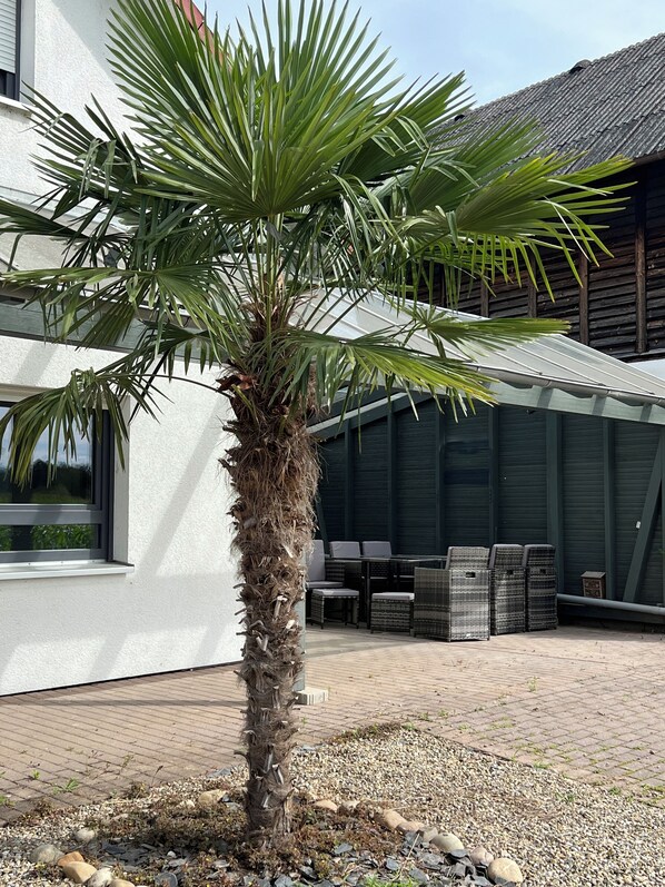 Terrace/patio - Apartment Sandperle: Your gateway to the Black Forest, Strasbourg and Europapark (Willstätt)