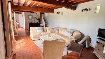 Televisión, chimenea, libros y estéreo