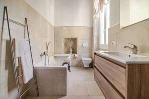 Shower, hair dryer, bidet, towels