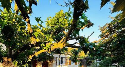 Le Havre Provençal de Luynes