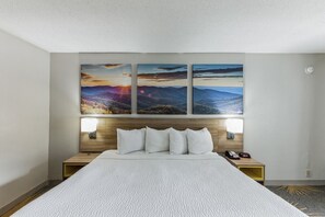 1 bedroom, desk, iron/ironing board, WiFi