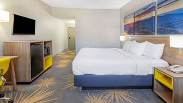 1 bedroom, desk, iron/ironing board, WiFi