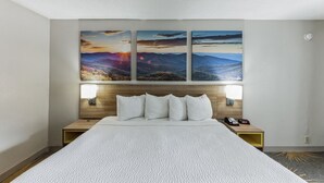 A hotel room with a large bed, a wooden headboard, two bedside tables with lamps, and three landscape paintings on the wall. - Days Inn I81 king bed (Roanoke)