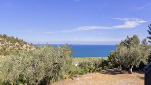 Viñedo con vista al mar.