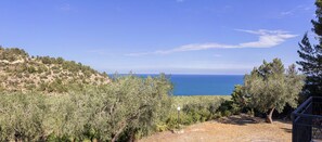 Property grounds - A Corner of Paradise in the Heart of Gargano (Puglia)