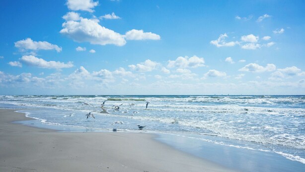 Ein Strand mit Wellen, Sand und blauem Himmel.